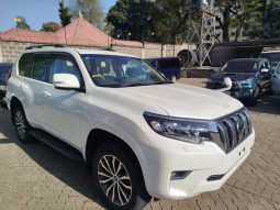 TOYOTA LANDCRUISER PRADO TX 2019